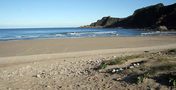 Playa del San Pedro