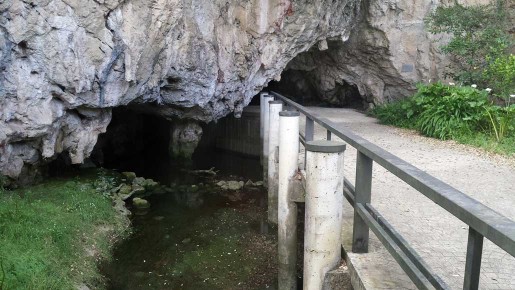 Entrada Cueva Tito Bustillo